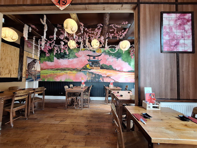 Senbon Sakura Cafe & Japanese Kitchen