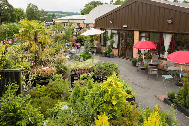 Seven Oaks Garden Centre and Cafe — Ruthin