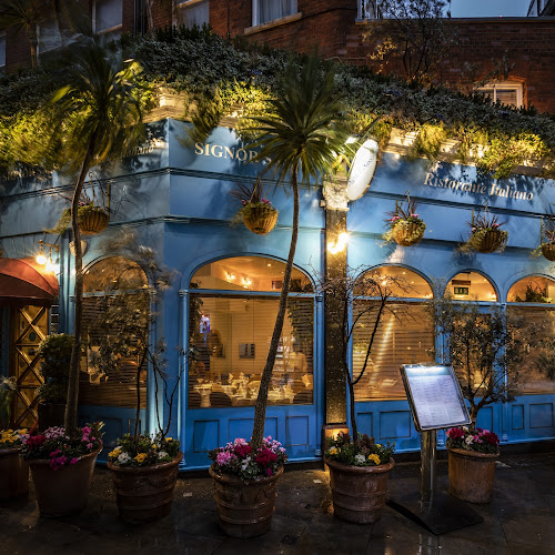 Signor Sassi by San Carlo - London