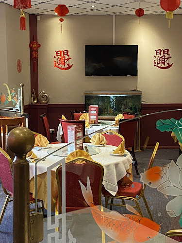Sizzling Wok Chinese Restaurant — Stafford