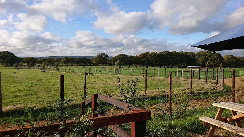 Sky Park Farm
