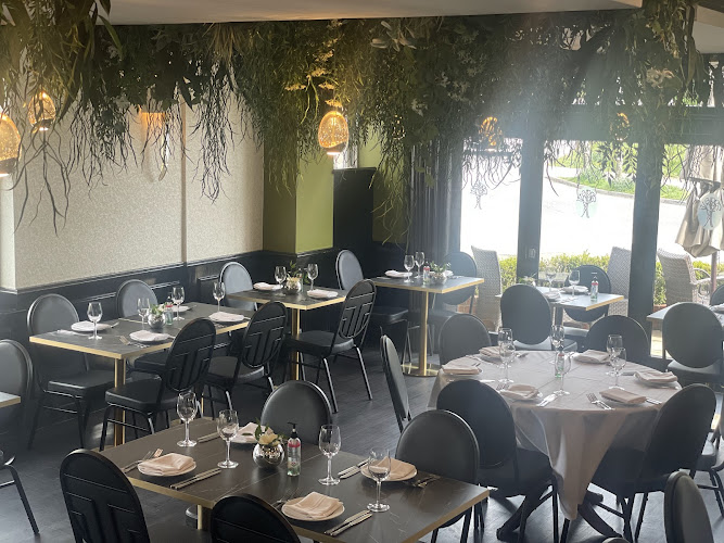 Spaghetti Tree - Walton on the Hill — Tadworth