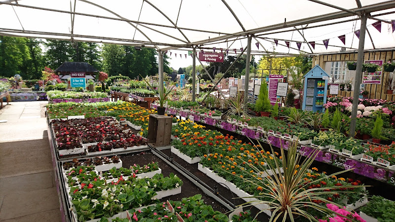 Squire's Garden Centre