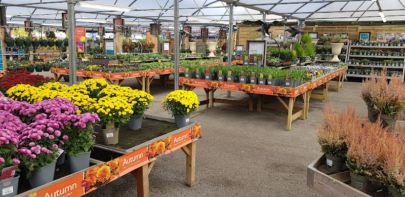 Squire's Garden Centre — Wokingham
