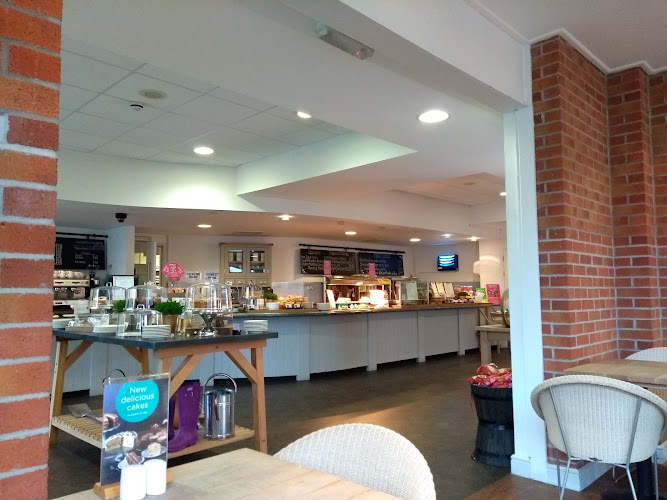 St John's Garden Centre Ashford