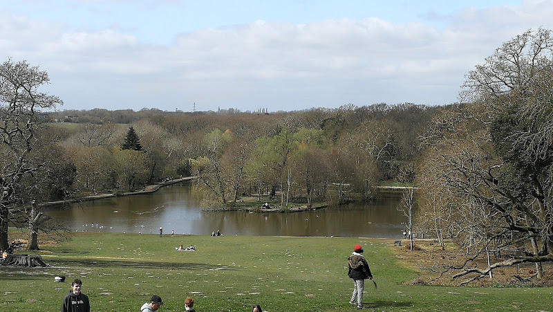 Staunton Country Park — Havant