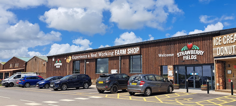 Strawberry Fields Farm shop Lifton — Lifton
