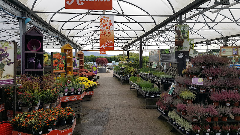 Strikes Garden Centre — Middlesbrough