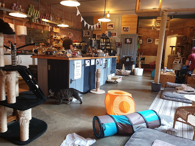 Tabby Teas — Sheffield
