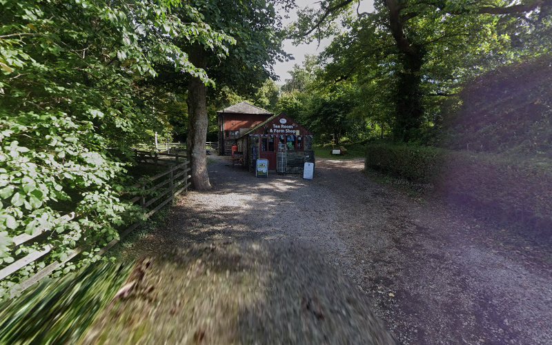 Tea Room & Farm Shop — Keswick
