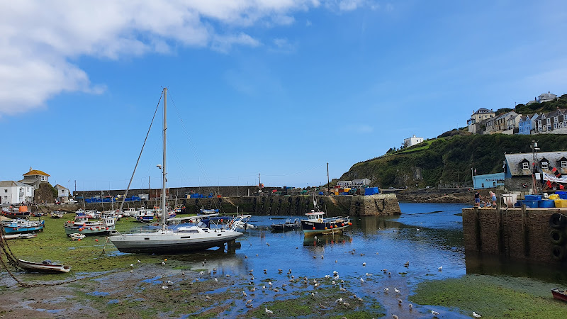 Teacup Tearoom — Saint Austell