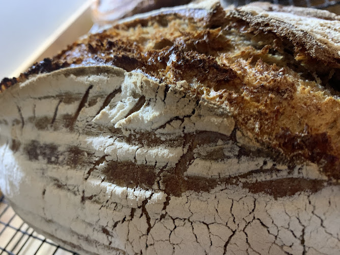 The Bakery by Sourdough Dave Ltd