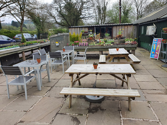 The Bird Cafe — Hope Valley