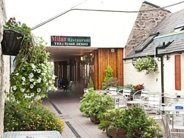 THE BLACK BULL