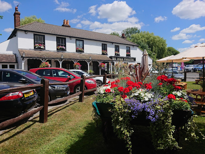 The Bold Forester — Southampton