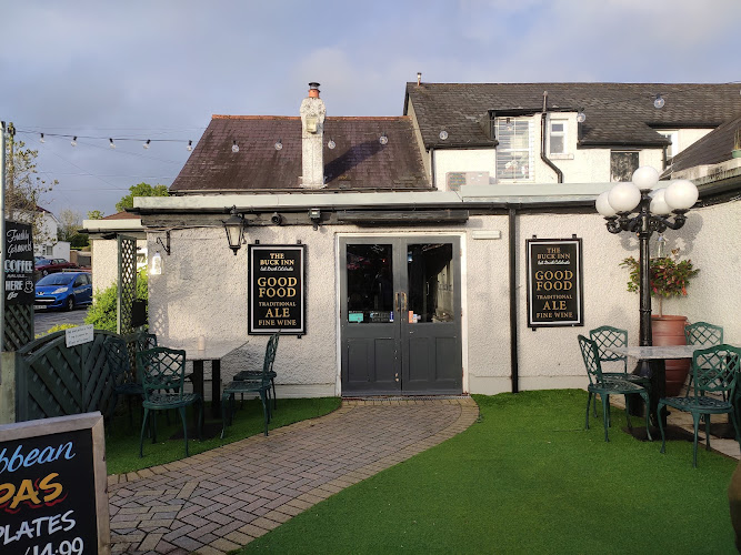 The Buck Inn — Swansea