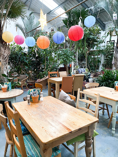 The Café at Urban Jungle Norfolk — Norwich
