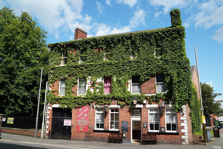 The Cherry Tree