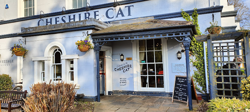 The Cheshire Cat