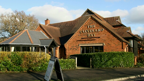 The Cleveland Bay