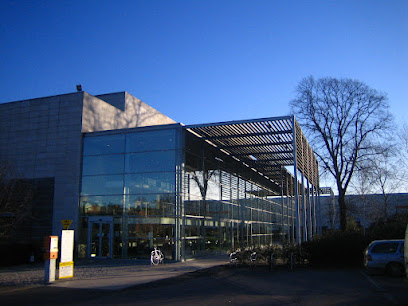 The Courtyard