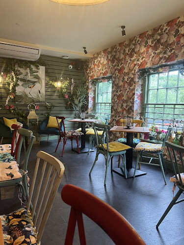 The Curious Mr Fox — Durham