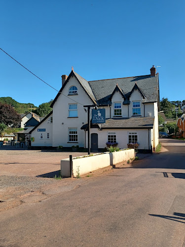 The Duck at Yeoford — Crediton