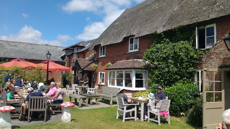 The ElmTree — Ringwood