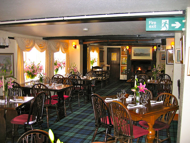 The Fox
