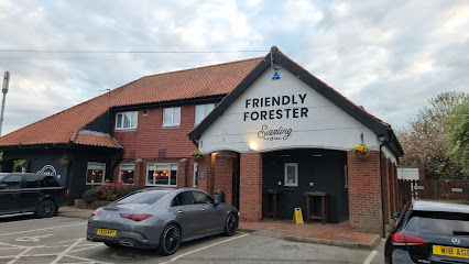 The Friendly Forester