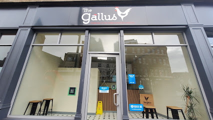 The Gallus