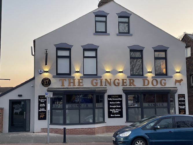 The Ginger Dog
