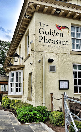The Golden Pheasant At Plumley