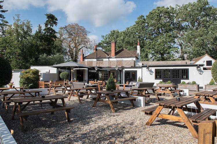 The Greene Oak
