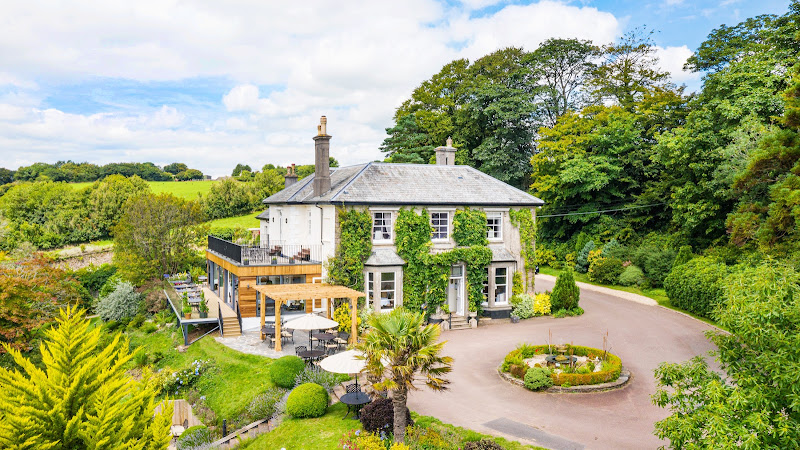 The Horn of Plenty — Tavistock