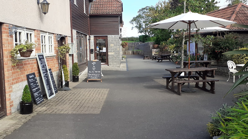 The Lemon Tree — Taunton