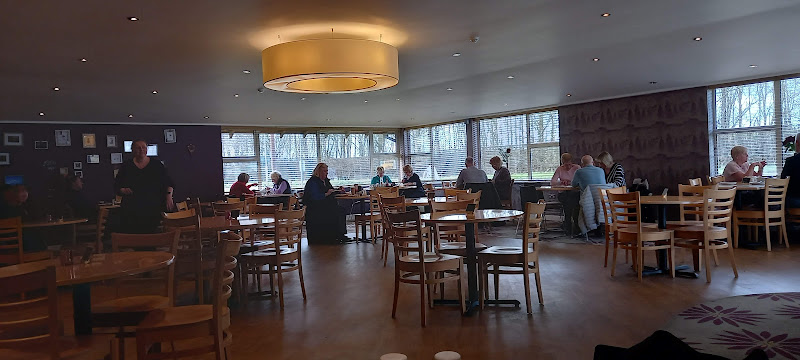 The Lounge & Kitchen at Oakmere