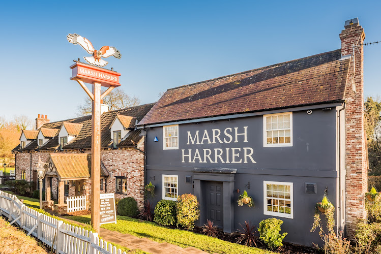 The Marsh Harrier — Norwich