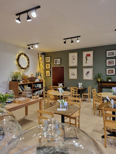 The Mind Tree Cafe cic — Devizes