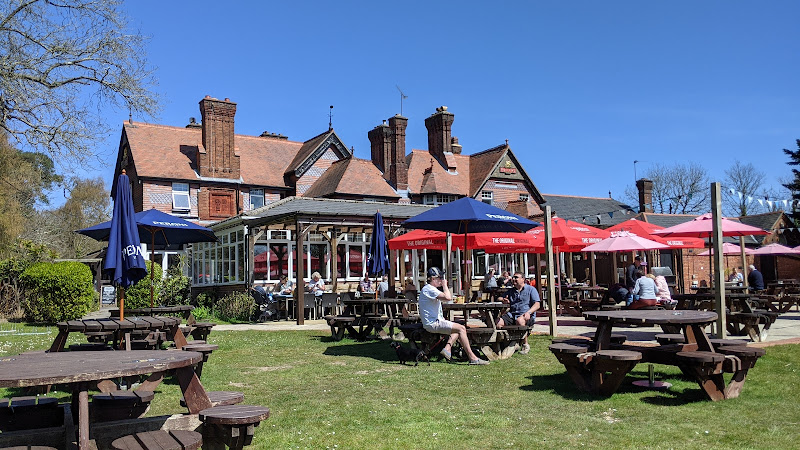 The New Forest, Ashurst