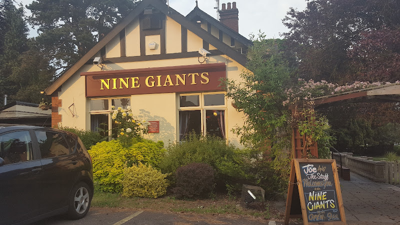 The Nine Giants