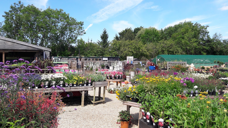 The Nursery