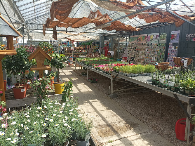 The Old Moat Garden Centre & Cafe — Epsom