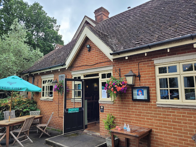 The Olive Tree — Guildford
