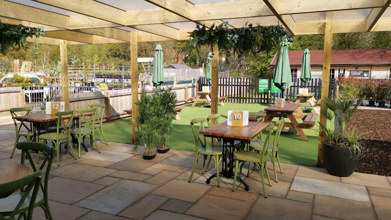 The Orange Tree Cafe/Restaurant — Cardiff