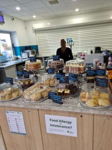 The Owl in the Hub Café — Chippenham