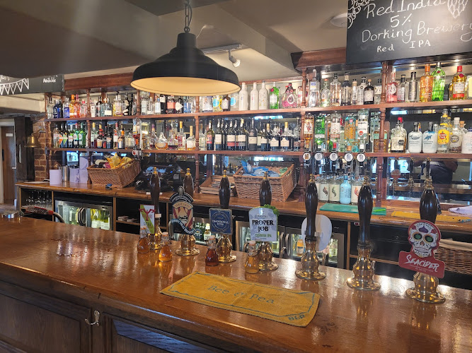 The Parrot — Dorking