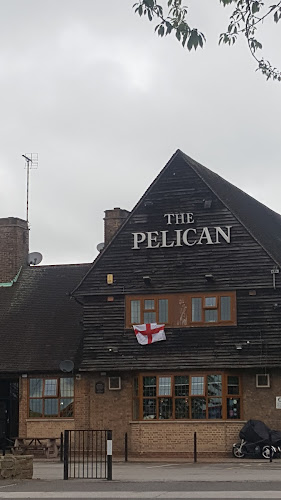 The Pelican