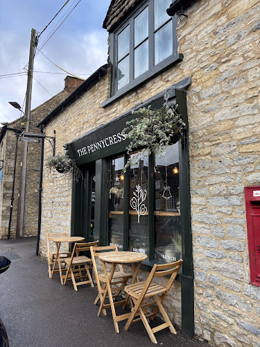 The Pennycress
