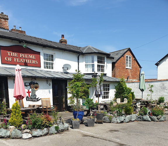 The Plume Of Feathers, Shrewton